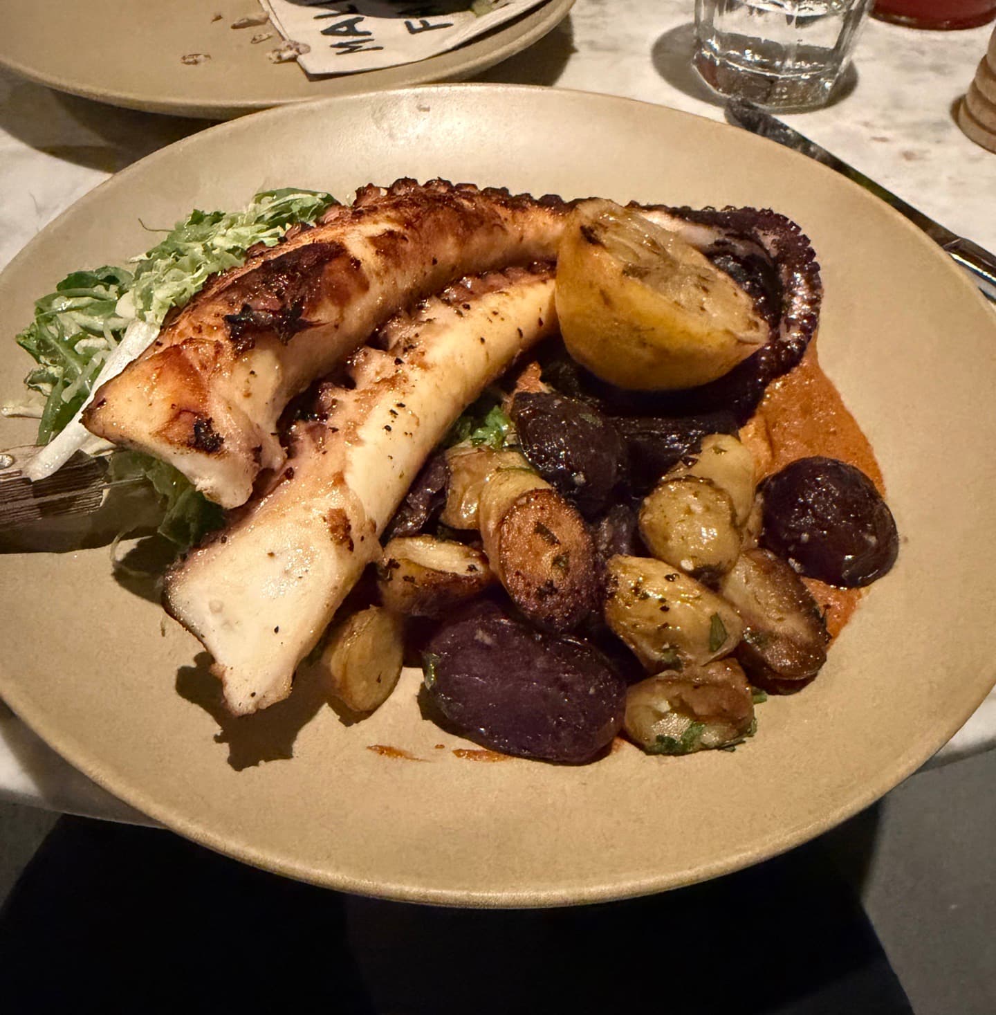 Octopus
