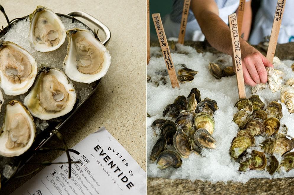 Oysters on The Half Shell